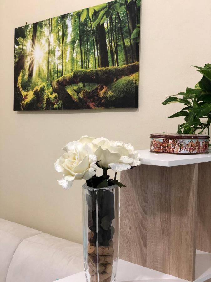 Sofihome Болонья Экстерьер фото